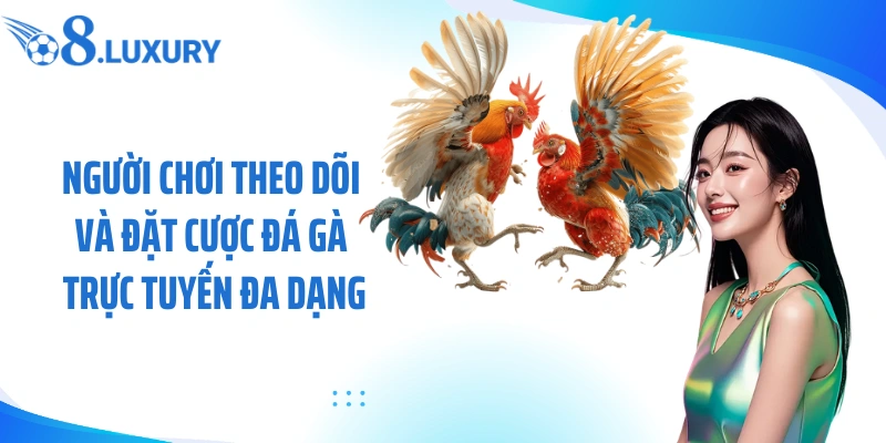 Người chơi theo dõi và đặt cược đá gà trực tuyến đa dạng